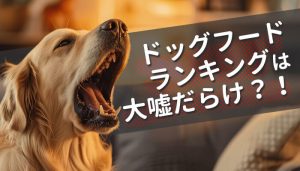 ドッグフードランキングは大嘘だらけ？！信頼性の薄いサイトの特徴を解説