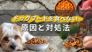 ドッグフードを食べない原因と対処法を解説！おすすめのトッピングやフードはこれ