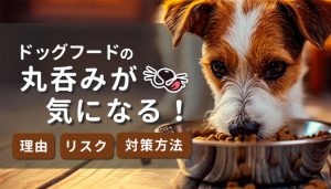 愛犬のドッグフードの丸呑みが気になる！理由・リスク・対策方法を解説