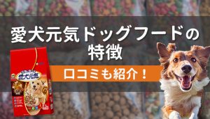 愛犬元気ドッグフードの特徴とは？口コミと合わせて紹介