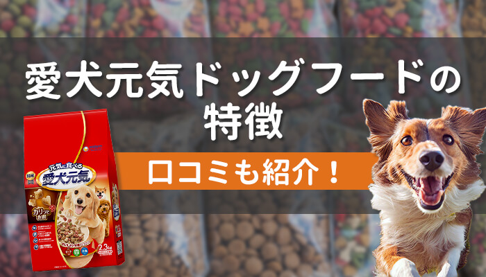 愛犬元気ドッグフードの特徴とは？口コミと合わせて紹介