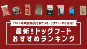 ドッグフードおすすめ人気ランキング