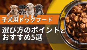 子犬用ドッグフードはどれが良い？選び方のポイントやおすすめ5選を解説