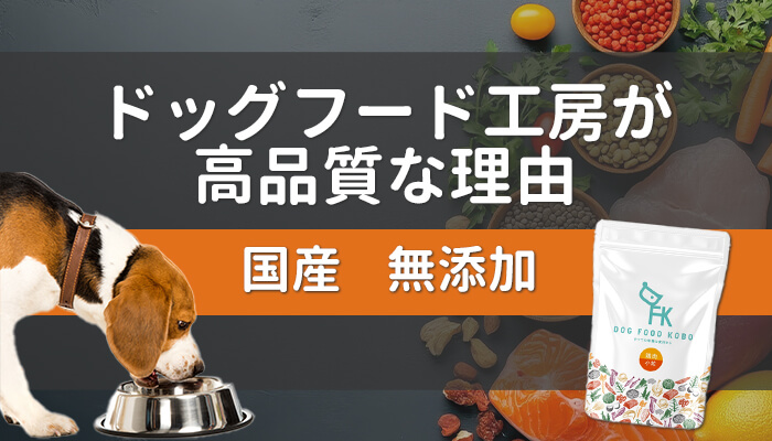 ドッグフード工房が高品質な理由とは？国産や無添加へのこだわりを解説