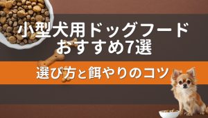 小型犬用ドッグフードおすすめ7選！選び方と餌やりのコツも紹介