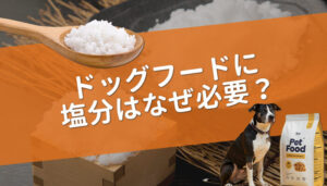 ドッグフードに塩分はなぜ必要？犬と塩分の関係と適切な与え方を解説
