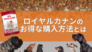 ロイヤルカナンドッグフードの特徴紹介！お得な購入方法も教えます