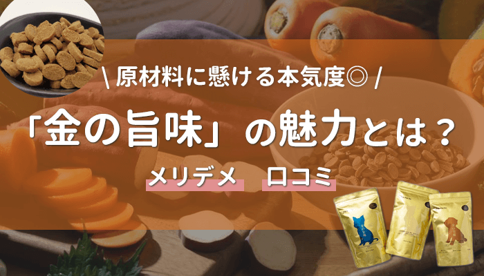 金の旨味ドッグフードの特徴とは？メリットやお得な買い方も紹介