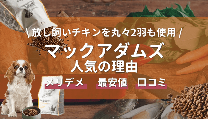 マックアダムズドッグフードチキンの口コミ評判は？最安値で買えるのはどこ？
