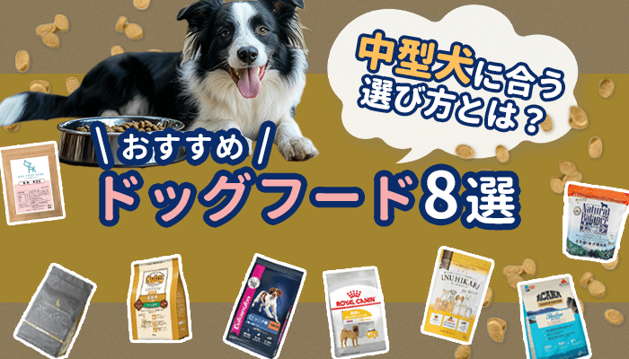 中型犬用ドックフードおすすめ8選！フードの選び方や口コミなどまとめ