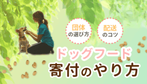 ドッグフードの寄付方法を紹介！団体の選び方から配送のコツまで解説
