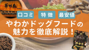 やわかドッグフードの特徴・口コミ評判を徹底解説！最安値で買えるのはここ