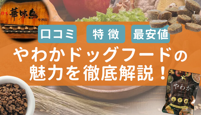 やわかドッグフードの特徴・口コミ評判を徹底解説！最安値で買えるのはここ