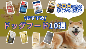 秋田犬に向いたドッグフード10選！おすすめ商品と給餌のコツを解説