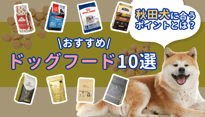秋田犬に向いたドッグフード10選！おすすめ商品と給餌のコツを解説