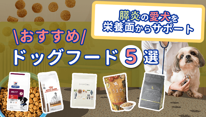膵炎の犬に適したおすすめドッグフード厳選！与える量や回数も解説！