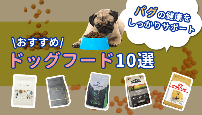 パグに合うおすすめドッグフード厳選紹介！与える量や回数を調査