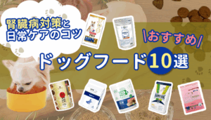 腎臓病におすすめのドッグフード10選！特徴・切り替え方・あげるときの注意点も解説