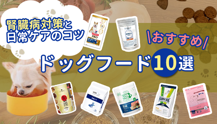 腎臓病におすすめのドッグフード10選！特徴・切り替え方・あげるときの注意点も解説