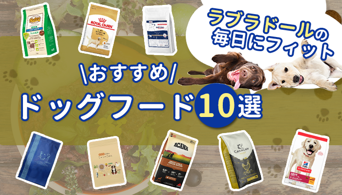 ラブラドールレトリバーにおすすめのドッグフード10選！選び方・あげ方のコツも