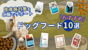 皮膚病対策のドッグフード厳選紹介！犬種・与える量・注意点を解説
