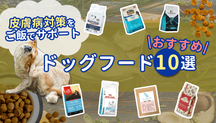 皮膚病対策のドッグフード厳選紹介！犬種・与える量・注意点を解説